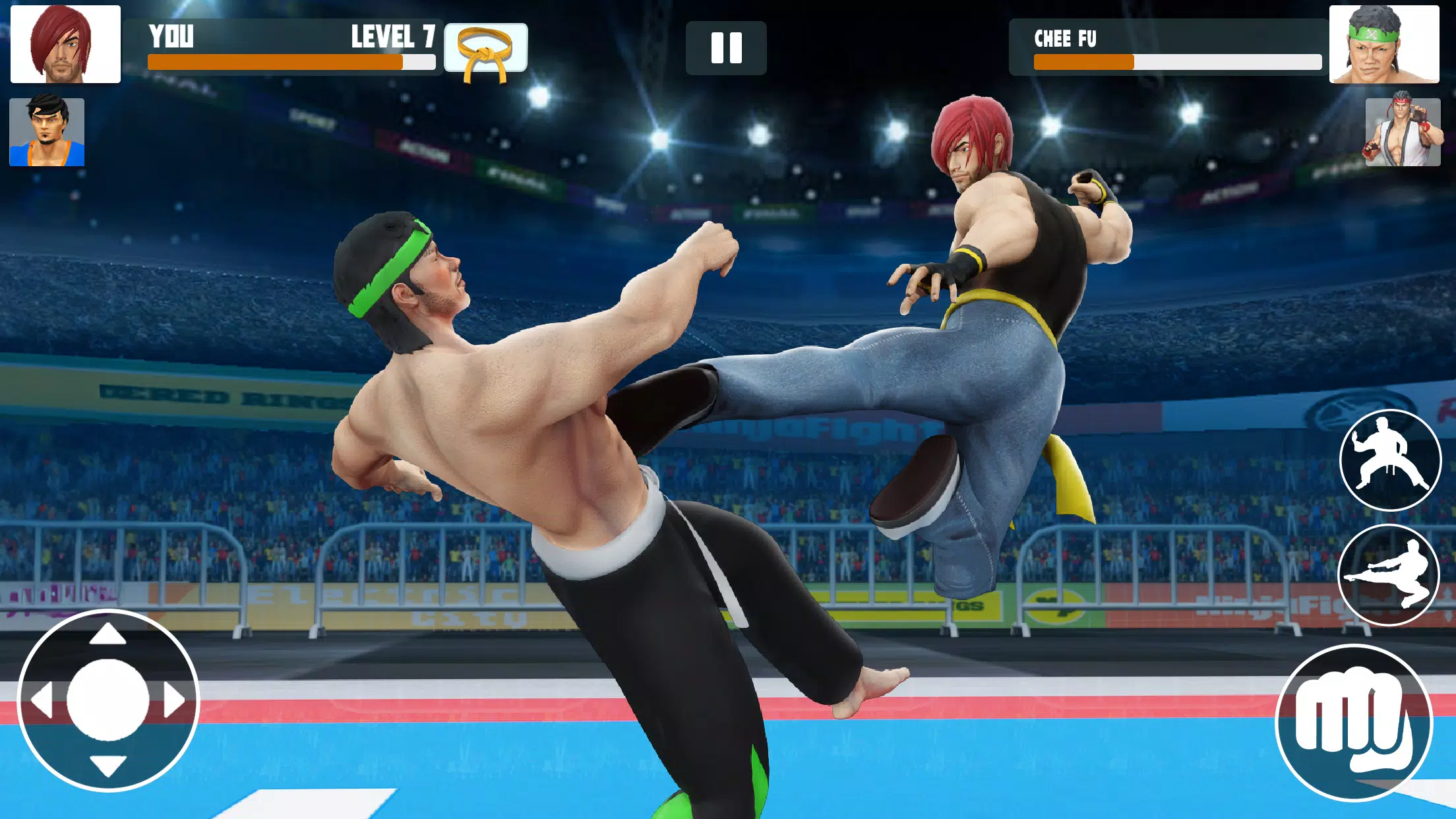 Karate Fighter Screenshot 1