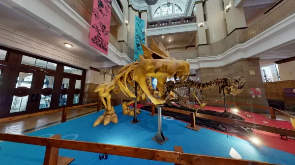 Museo Pokémon Fossil para mostrar fósiles reales y falsos en EE. UU. El próximo año