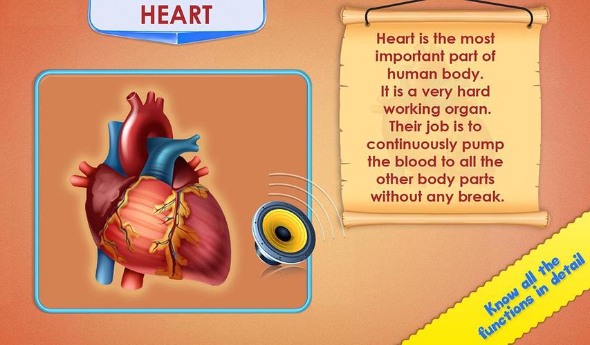 Human Body Parts Captura de tela 2