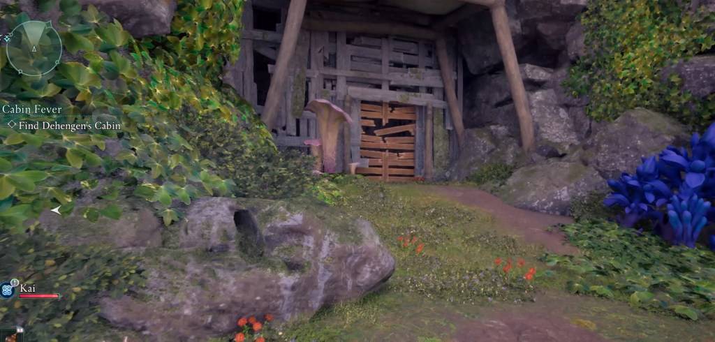 A screenshot from Avowed showing a boarded-up area.