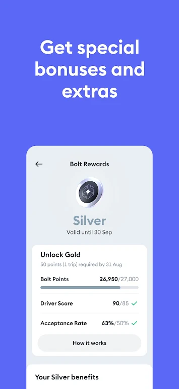 Bolt Driver: Drive & Earn 스크린샷 1