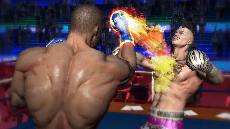 Punch Boxing 3D Capture d'écran 3