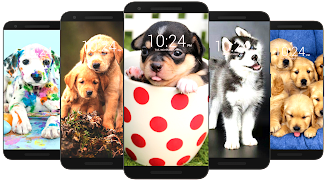 Dog Wallpaper HD Screenshot 3