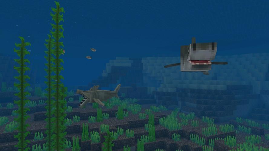 CraftyCraft: Adventure 螢幕截圖 0