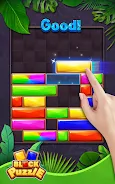 Block Puzzle-Jewel Blast スクリーンショット 2