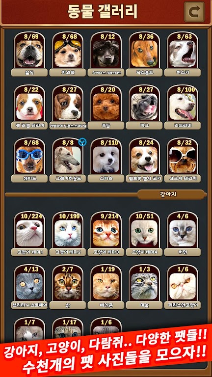 애니멀 맞고 - 동물 팻 고스톱 Ekran Görüntüsü 3
