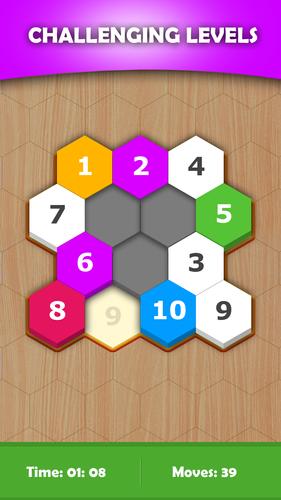 Hexa Sort Puzzle Capture d'écran 1