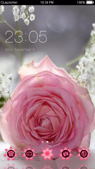 Pretty Pink Rose Theme 螢幕截圖 0