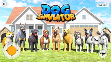 Animal Shelter: Pet Life Game Screenshot 3