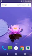 Zen Live Wallpaper Schermafbeelding 2