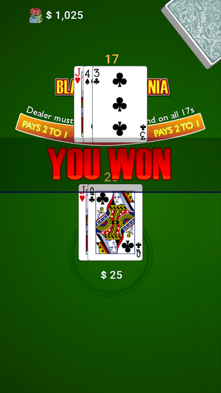 BlackJack Mania 螢幕截圖 2