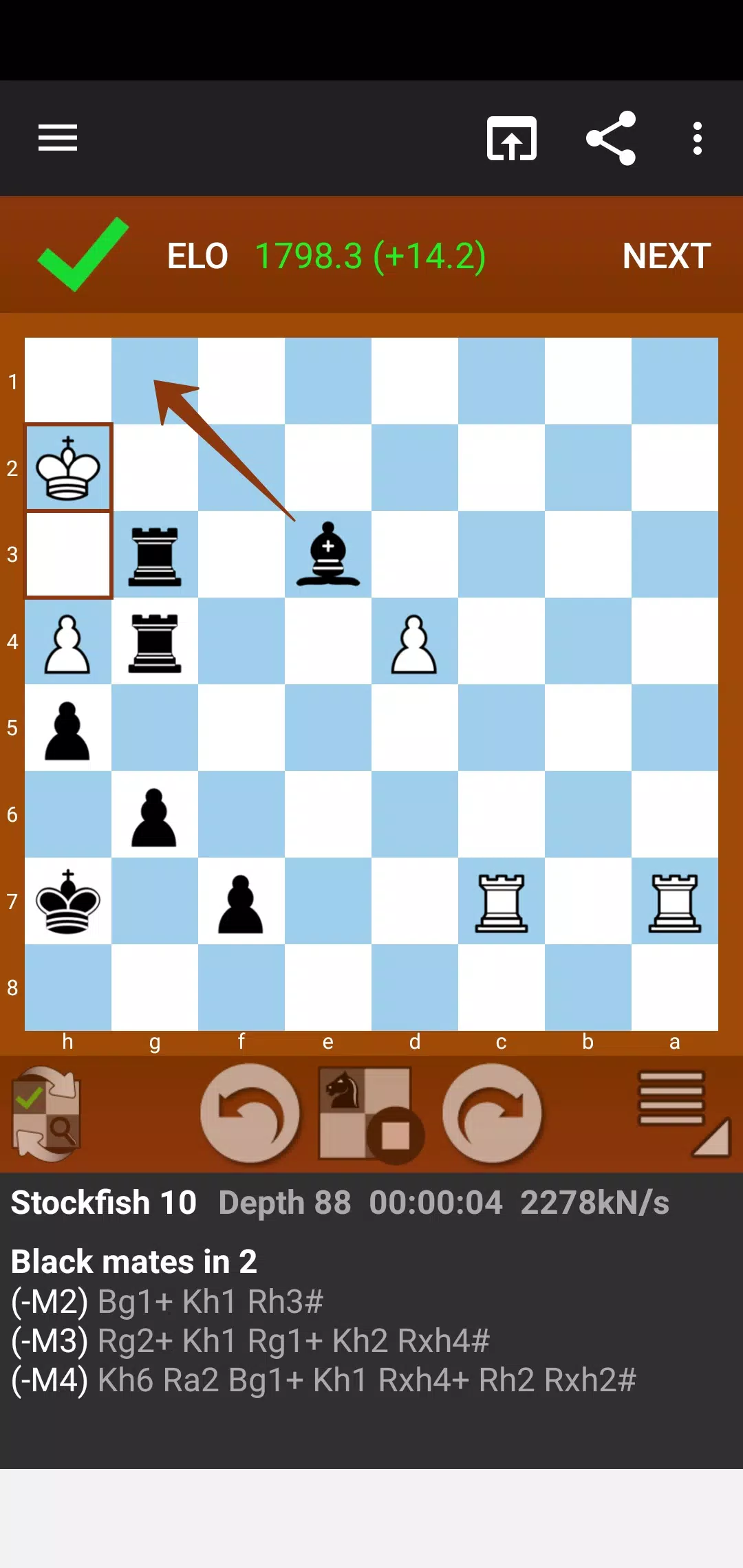 Fun Chess Puzzles Captura de tela 3