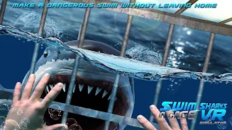 Swim Sharks Cage VR Simulator 스크린샷 1