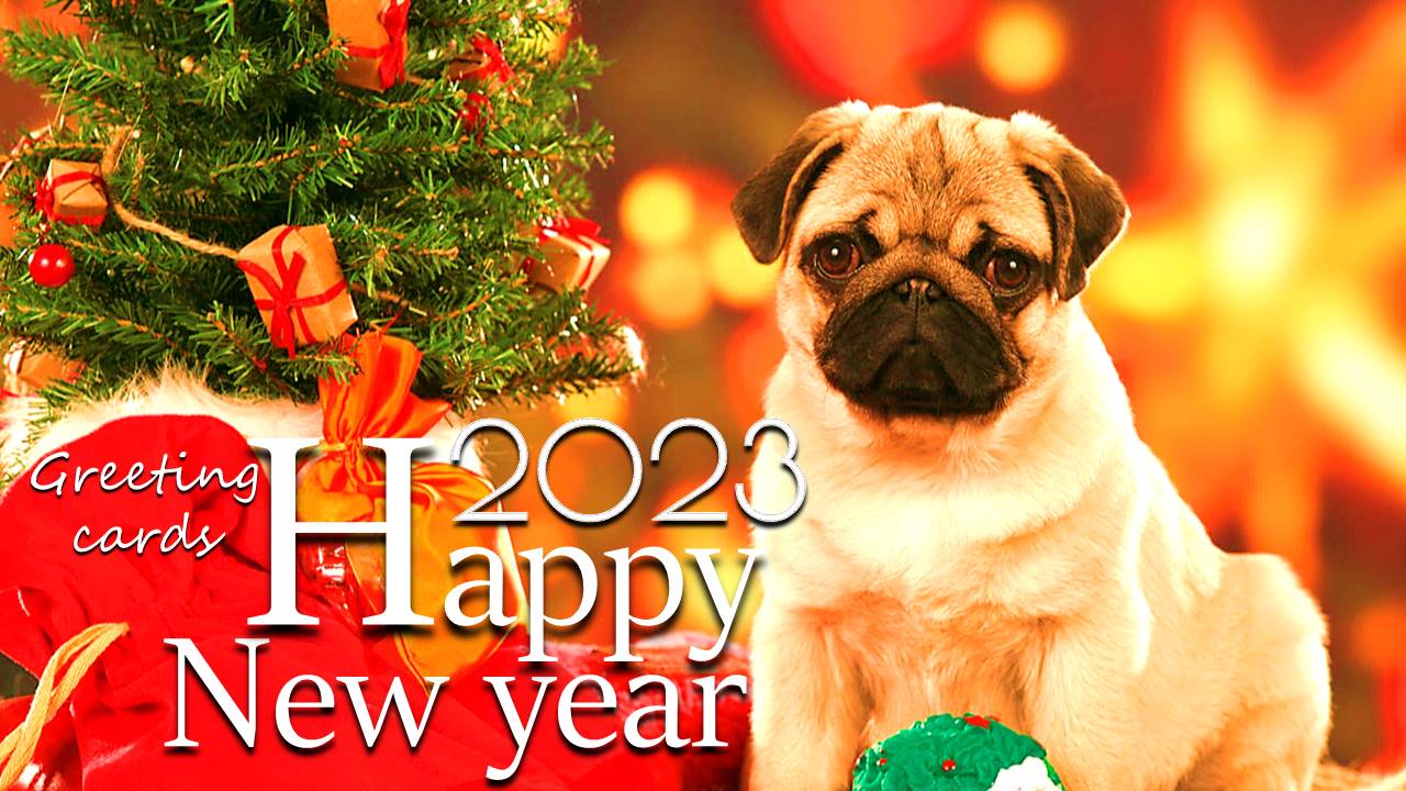 Happy NewYear Wishes Schermafbeelding 0