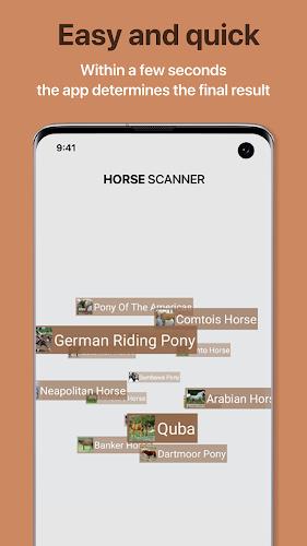 Horse Scanner Screenshot 1