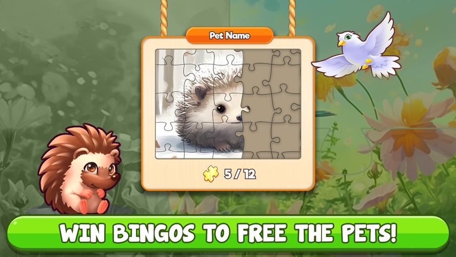 Bingo:  Free the Pets Screenshot 2