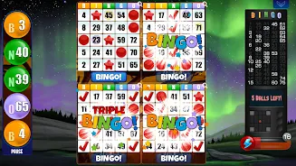 Absolute Bingo 螢幕截圖 2