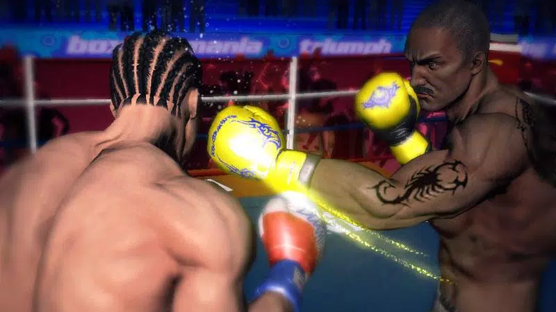 Punch Boxing 3D Capture d'écran 1