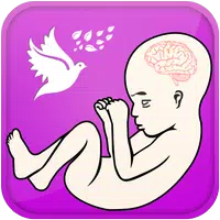 Pregnancy Guide - Baby Tracker