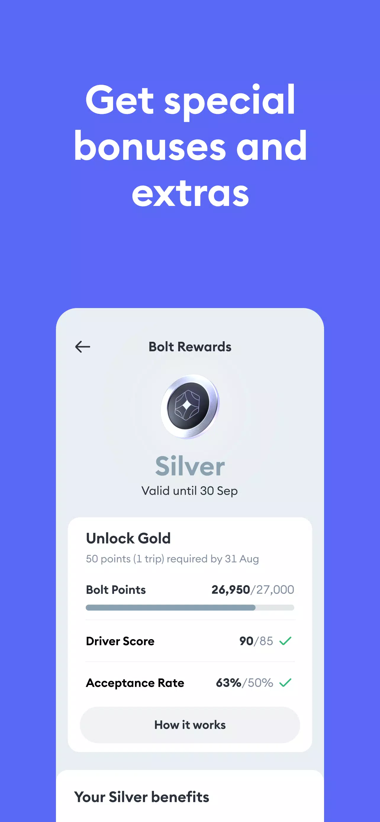 Bolt Driver: Drive & Earn 螢幕截圖 1
