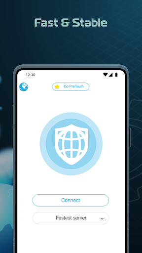 Your VPN: Secure Connection Screenshot 2