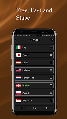 CAFE VPN - Fast Secure VPN App ภาพหน้าจอ 2