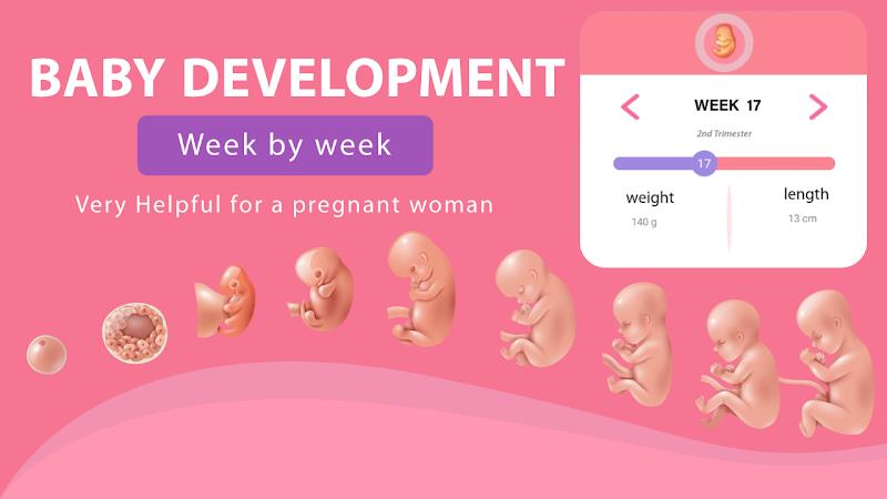 Pregnancy Weeks Tracker Screenshot 1