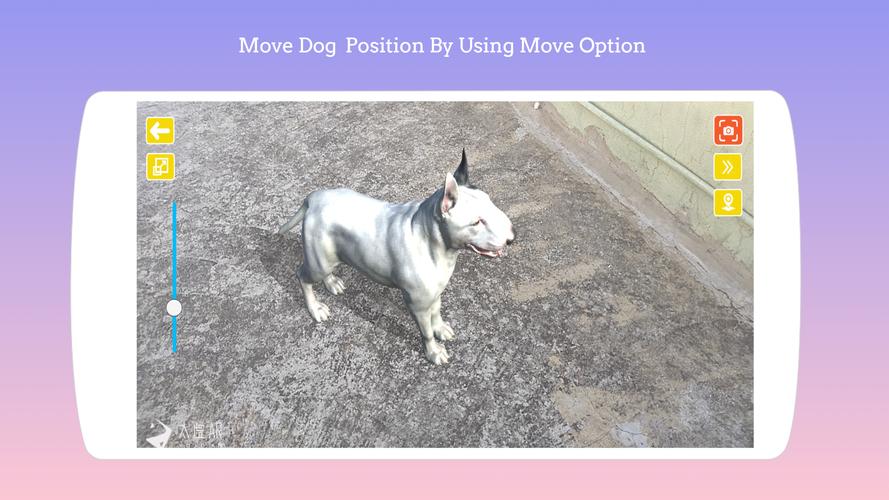 Dog play Ar 螢幕截圖 1