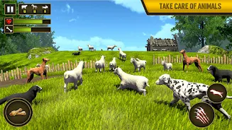 Wild Dog Pet Simulator Games スクリーンショット 2