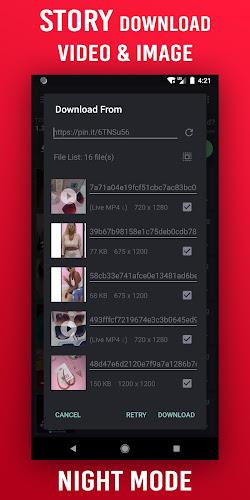 Video Downloader for Pinterest स्क्रीनशॉट 2