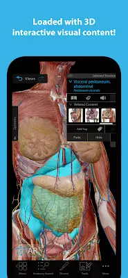 Human Anatomy Atlas 2024 Screenshot 0